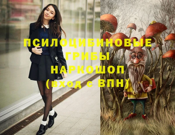 mix Белокуриха